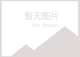 青山区敷衍司法有限公司